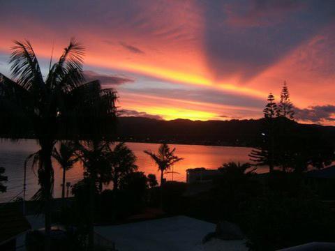 Paku Lodge Resort Tairua Exterior foto